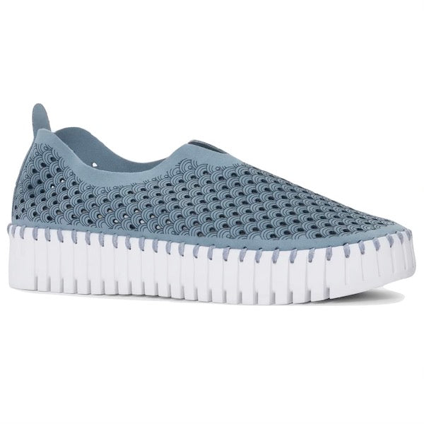Tulip Platform - Blue