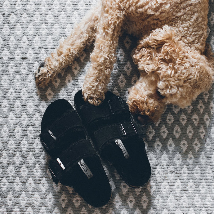 Shop Our Birkenstock Shearling Collection!