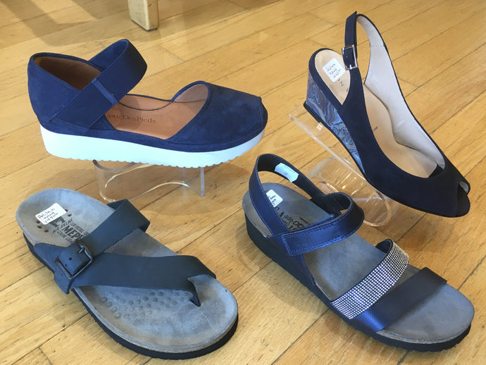 We're Nuts For Navy!