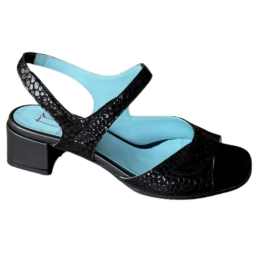 Parrot - Black Giraffe – E.G.Geller