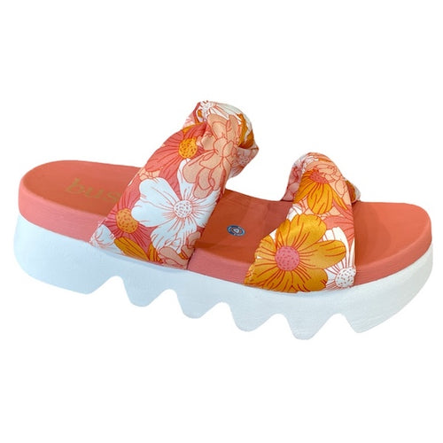Carina - Apricot