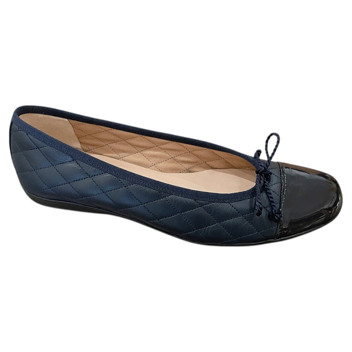 Passport - Navy