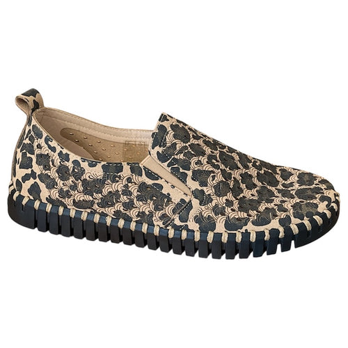 Tulip - Leopard