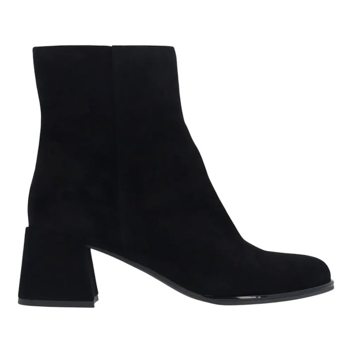 Pavella - Black Suede