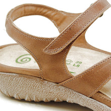 Etera - Brown