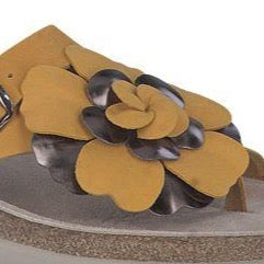 Helen Flower - Ochre – E.G.Geller