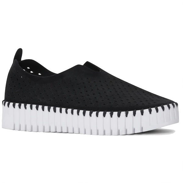 Tulip Platform - Black