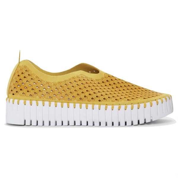 Tulip Platform - Golden Rod