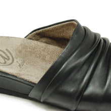 Darcia Black