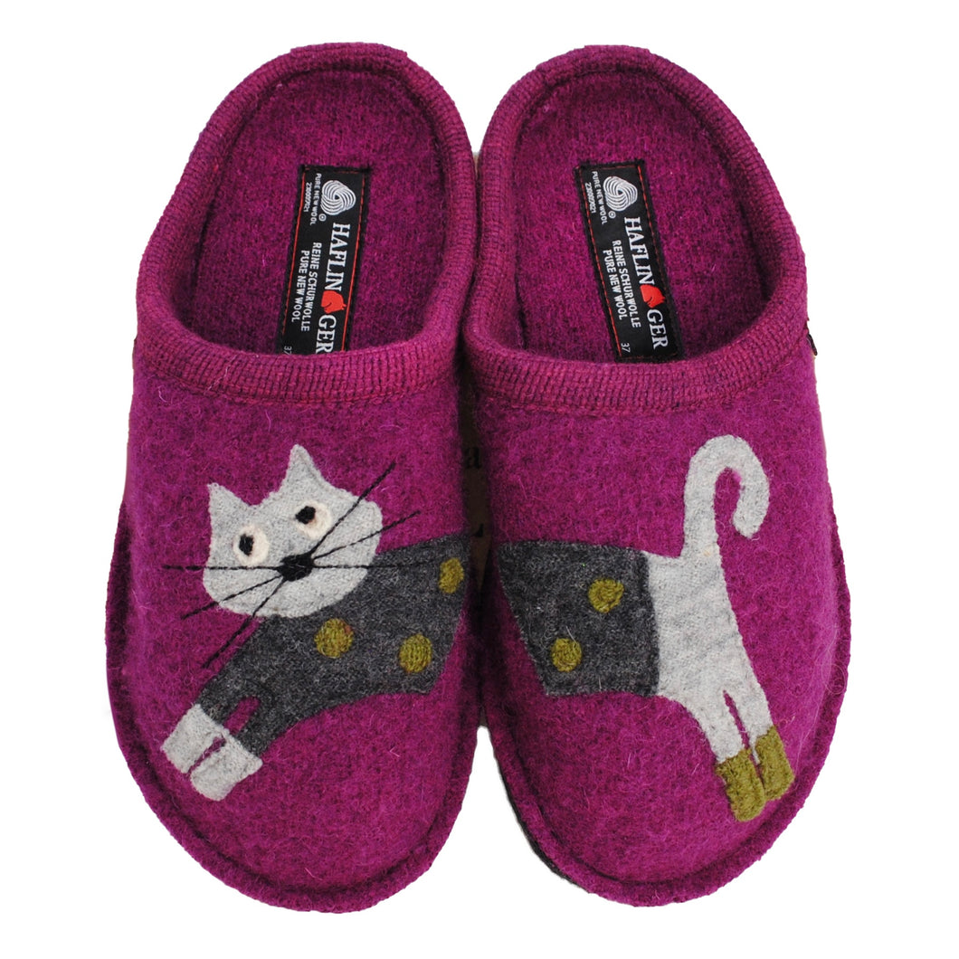 Haflinger cat slippers 2025