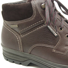 Jim GT Chestnut