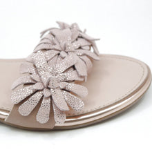 Virginia Blush